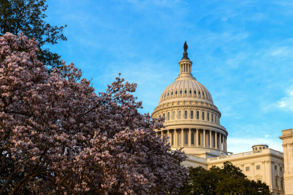 All About Advocacy: United Way’s 2024 State, Federal Agendas